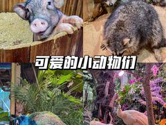 -正佳极地海洋世界