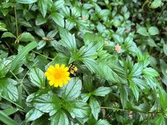 -青芝山风景名胜区