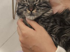 -平行世界·猫咖(首经贸店)