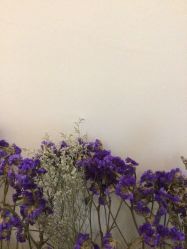 -FUMEIHUI·科技美肤·美体SPA