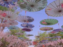 -武汉紫薇都市田园