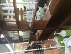 QQ图片20141130150252-小左美发