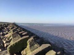 -南汇嘴观海公园