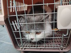 -萌兽医馆·犬猫专科·眼科中心·宠物医院(朝阳门分院)