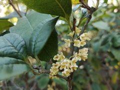 -中国移动南方基地