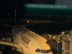 -关西机场 JR ticket office(Kansai Airport)
