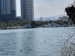 -洱海月湿地公园