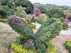 -东莞植物园