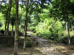 -仙霞关景区