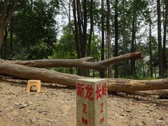 -黄埔油麻山森林公园