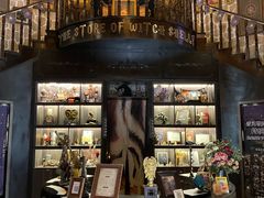 -雪灵魔法世界SHELLY’S TAROT(大良桂畔里店)