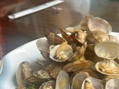 -鲁前海沿儿