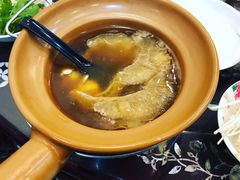 -大中鱼翅 Taitong Shark Fin