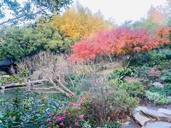 -汇龙潭