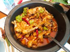 黑松露牛肝菌焖牛蛙-云海肴·汽锅鸡·云南菜(苏州中心店)