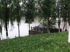 -眉山湿地公园(东坡区)