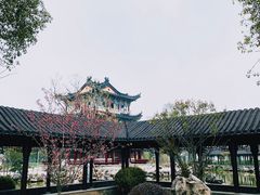-葛仙湖公园