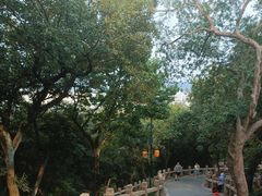 -灵岩山风景区