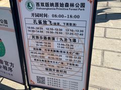 -西双版纳原始森林公园