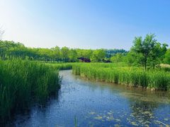 -东郊湿地公园