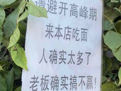 -左撇子私房面