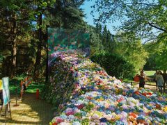 -上海共青森林公园