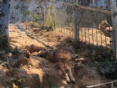 -泉州海丝野生动物世界