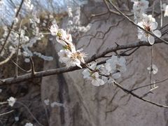 -北京凤凰岭