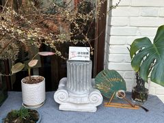 -两棵枇杷树
