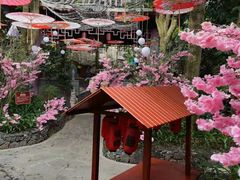 -海口观澜湖火山温泉谷