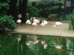 -九龙公园