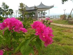 -硇洲岛旅游区