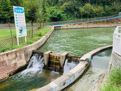 -天目湖松岭竹海漂流