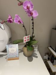 -YESIDO椰岛美容