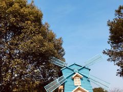 -铁山坪森林公园