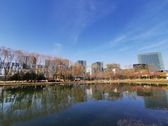 -大兴滨河森林公园