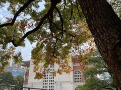 -长沙市青少年宫