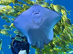 -太平洋海底世界