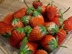 -彤德莱火锅(乐陵路店)