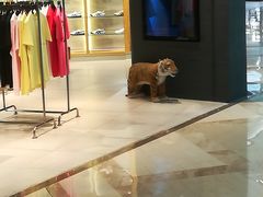 -Onitsuka Tiger(港汇恒隆广场店)