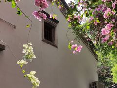 -深圳国际园林花卉博览园