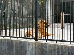 -广东茂名森林公园