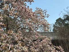 -潭柘寺景区