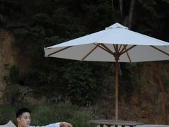 -千年银杏谷文化旅游区