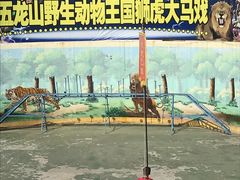 -五龙山野生动物王国