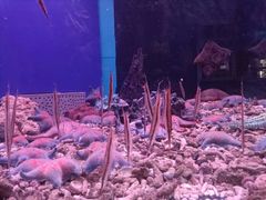 -蓬莱欧乐堡海洋极地世界