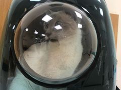 -美联众合动物医院·24h京西诊疗中心
