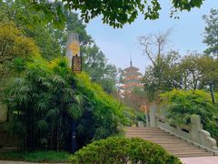 -鹅岭公园瞰胜楼