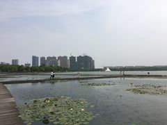 -暨阳湖生态园