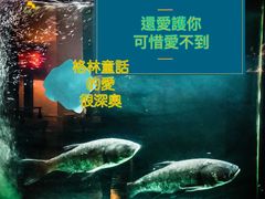 -夜上海(新天地店)